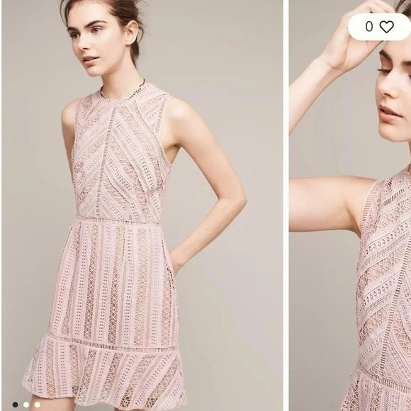 Anthropologie Greylin - Emilia Lace Mini Dress - Chalk Rose - Size Small - Picture 1 of 14